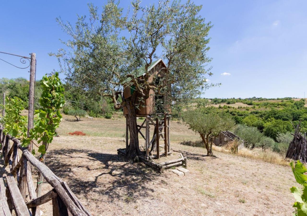 Agriturismo Torre Gialluise Gesualdo Екстериор снимка
