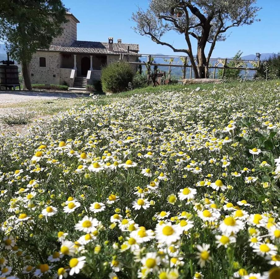 Agriturismo Torre Gialluise Gesualdo Екстериор снимка
