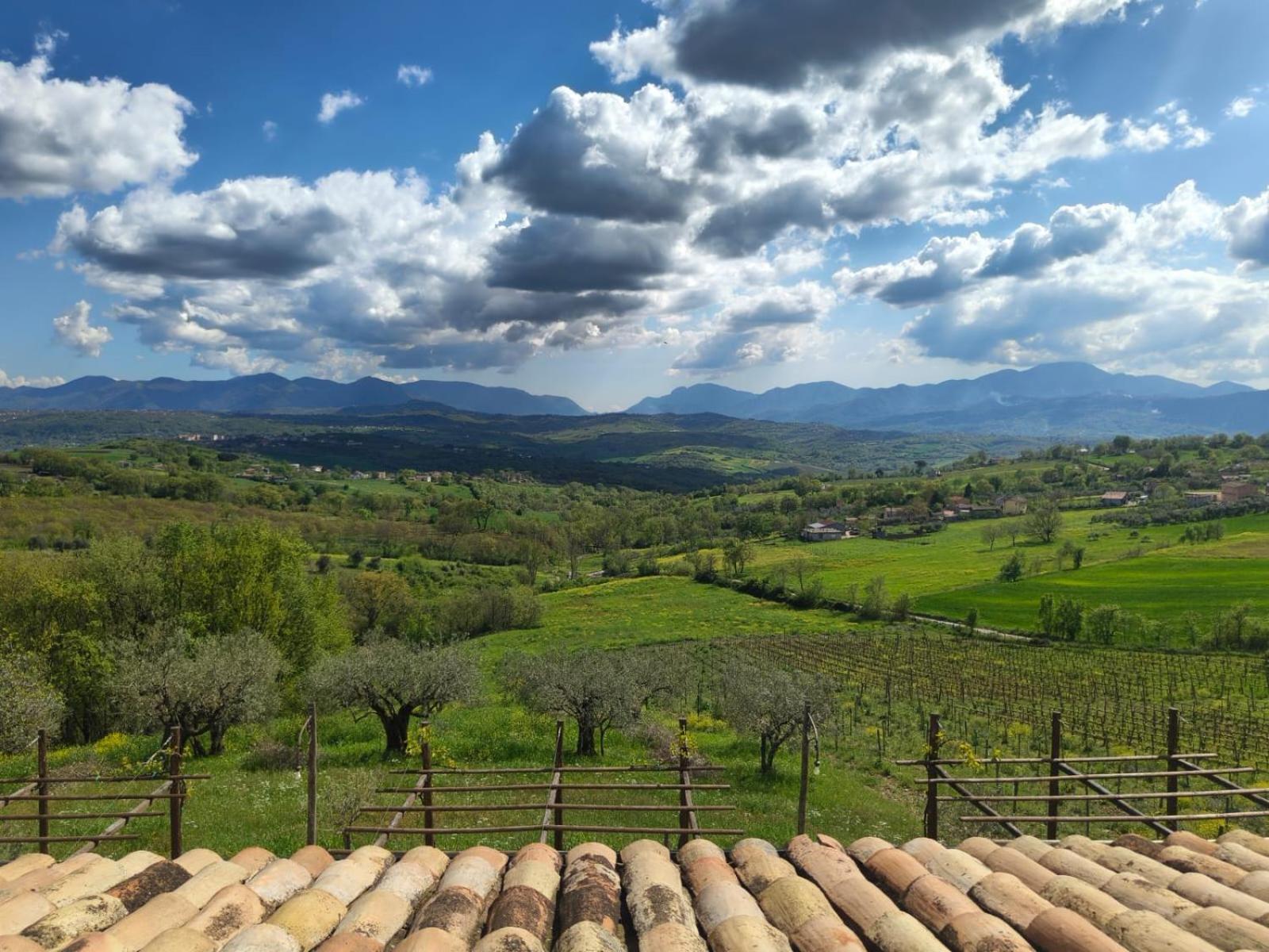 Agriturismo Torre Gialluise Gesualdo Екстериор снимка